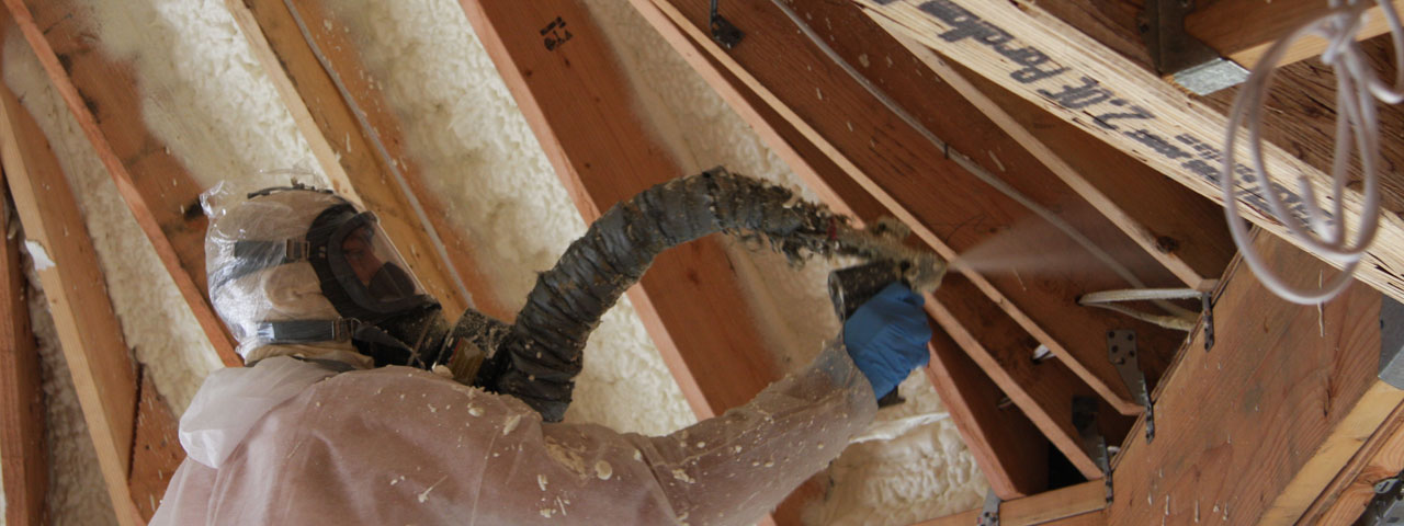 Elgin Illinois Attic Insulation Spray Foam